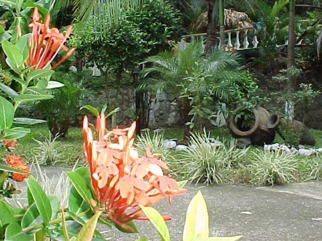 Hotel Villa Romantica Quepos Exterior photo